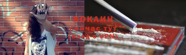 стаф Армянск