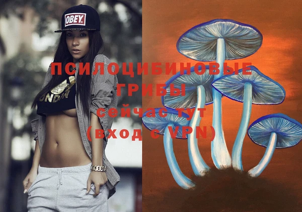 дживик Арсеньев