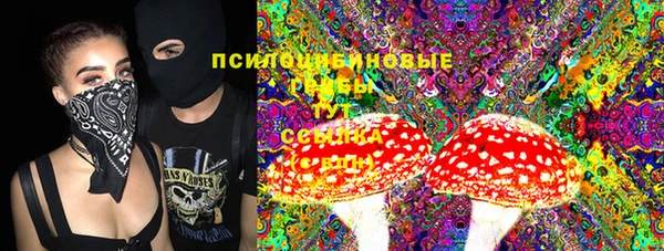 дживик Арсеньев