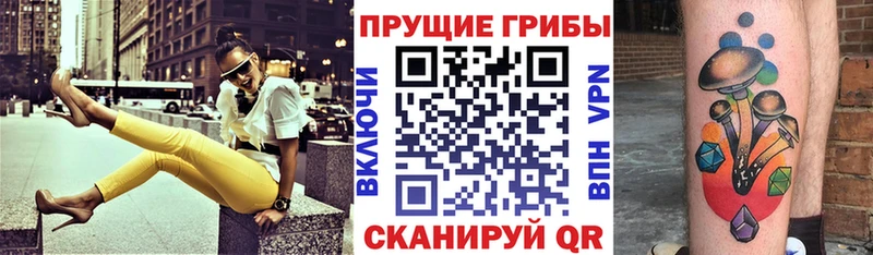 Купить где  Анапа  Псилоцибиновые грибы Psilocybine cubensis 